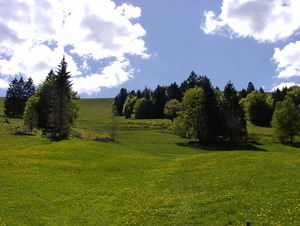 Landschaft im Schwarzwald